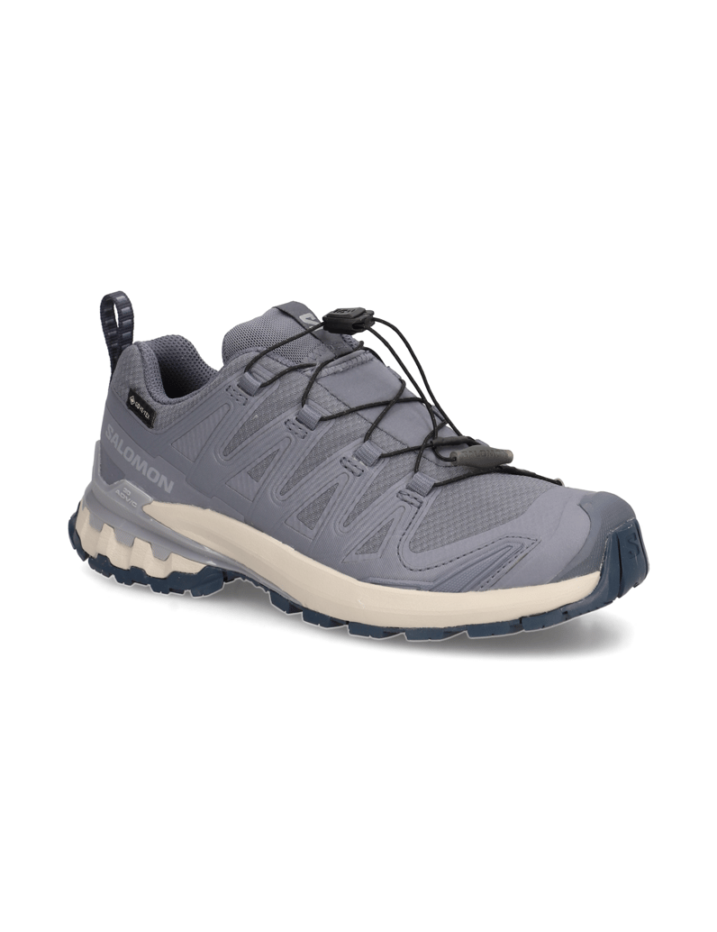 Salomon-XA-PRO-3D-V9-GTX-W-grau