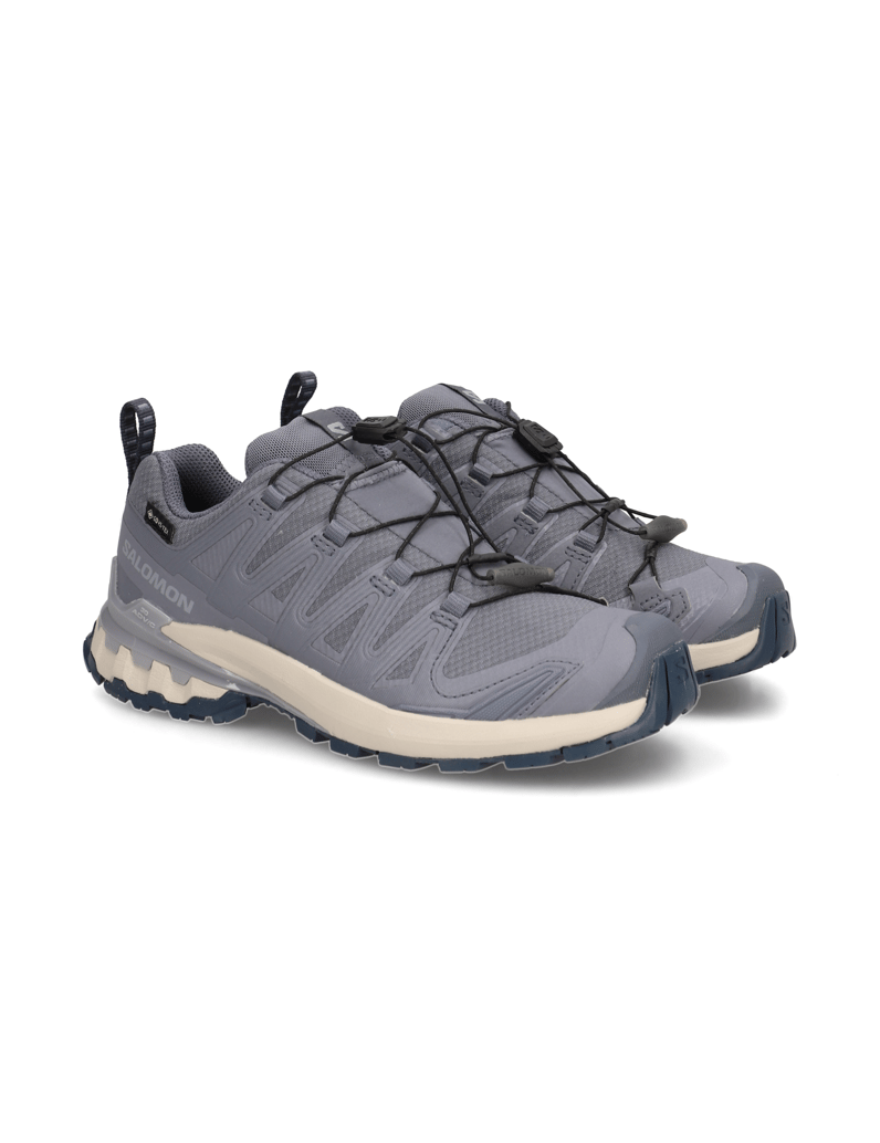 Salomon-XA-PRO-3D-V9-GTX-W-grau