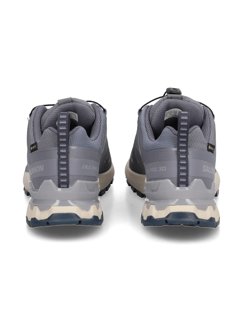 Salomon-XA-PRO-3D-V9-GTX-W-grau