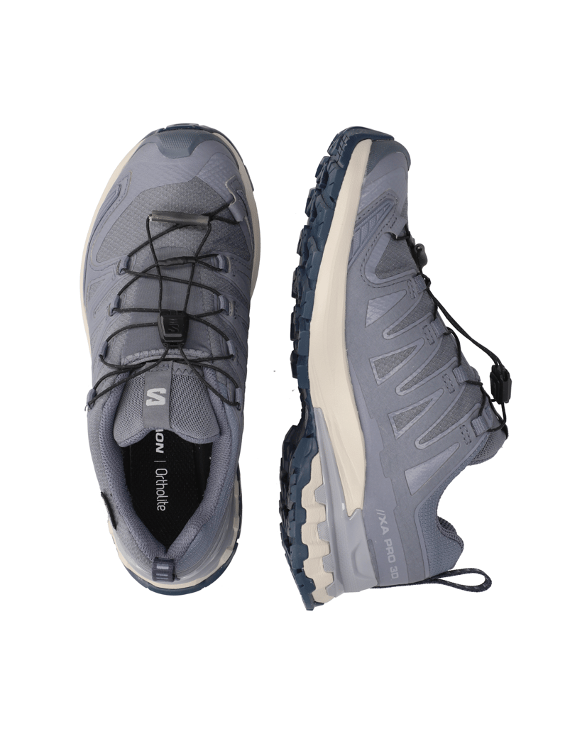 Salomon-XA-PRO-3D-V9-GTX-W-grau