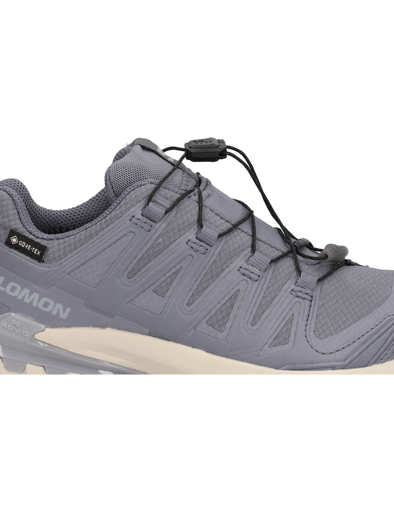 Salomon-XA-PRO-3D-V9-GTX-W-grau