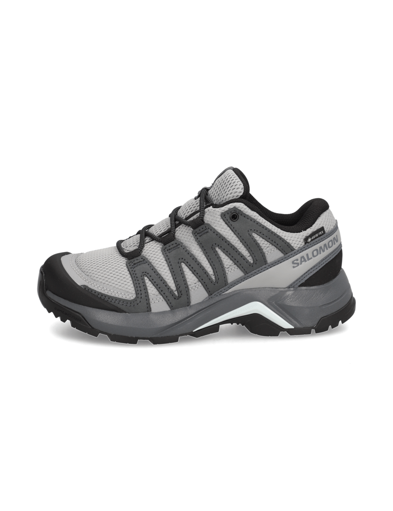 Salomon-X-ADVENTURE-RECON-GTX-W-hellblau