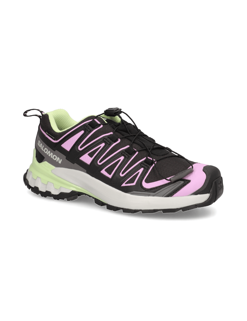Salomon-XA-PRO-3D-V9-GTX-W-schwarz