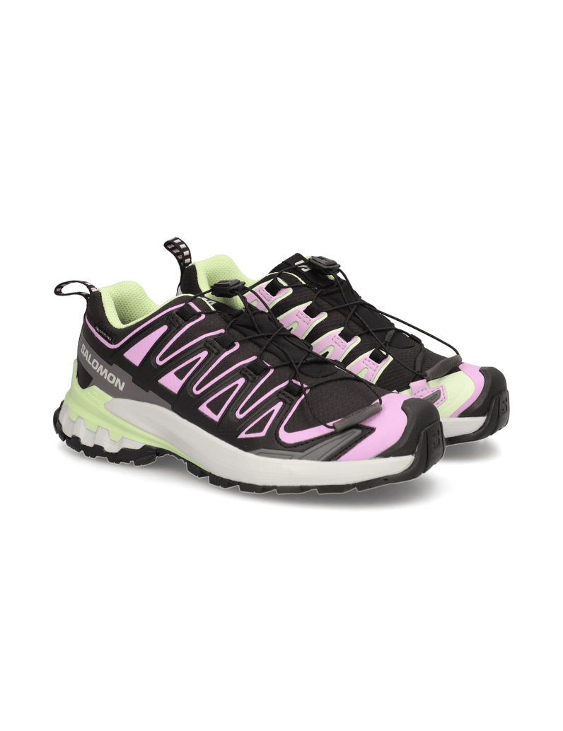 Salomon-XA-PRO-3D-V9-GTX-W-schwarz