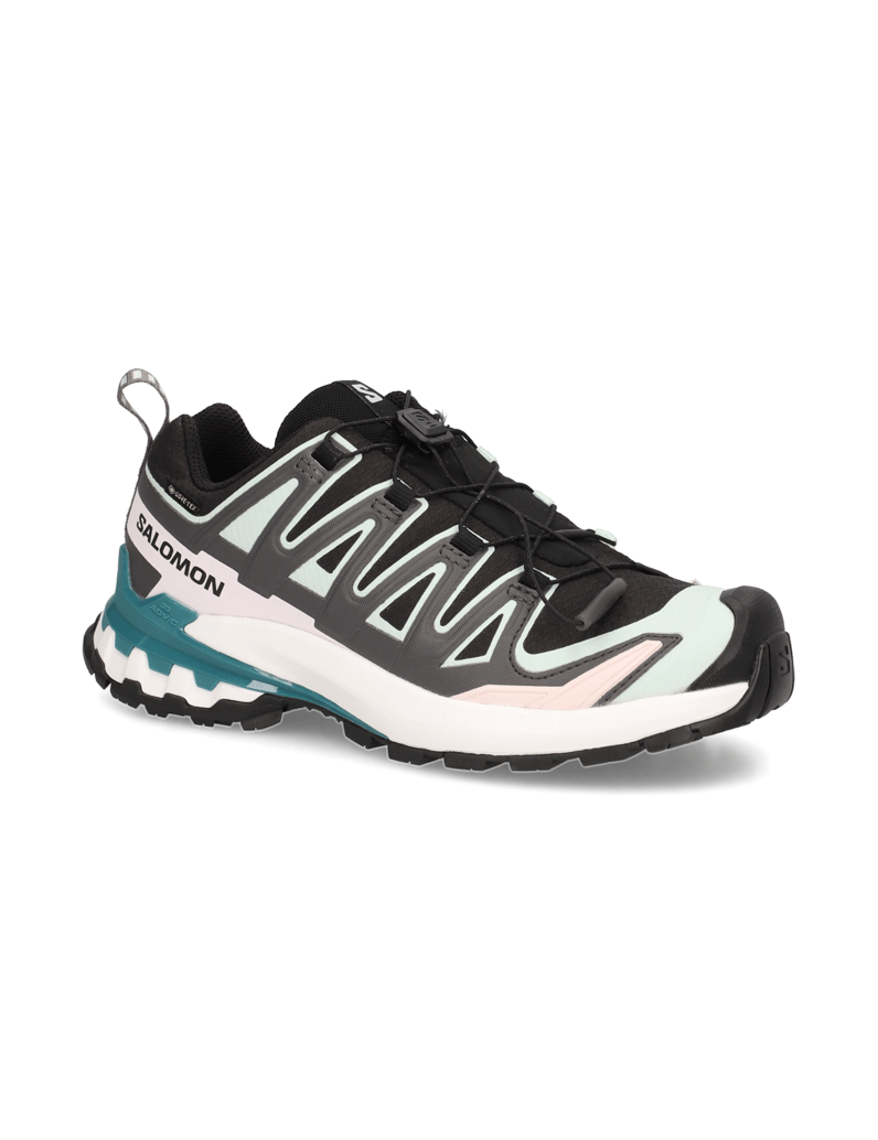 Salomon-XA-PRO-3D-V9-GTX-W-schwarz