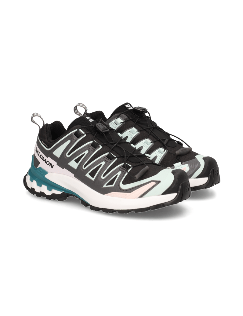 Salomon-XA-PRO-3D-V9-GTX-W-schwarz