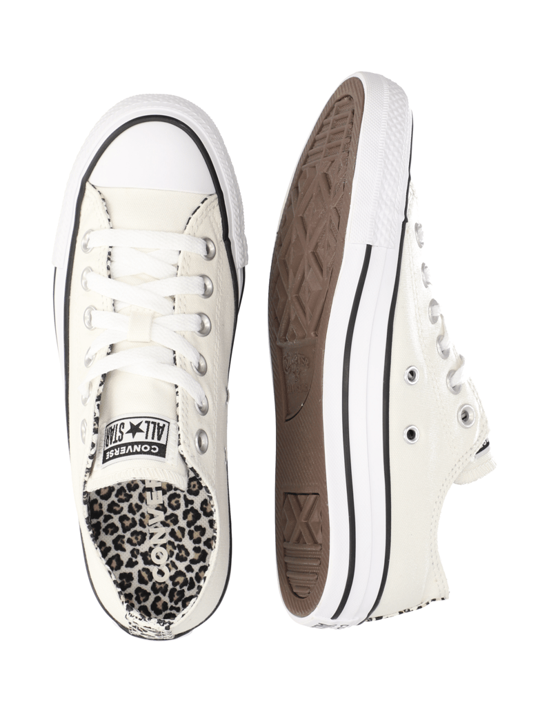 Converse-CHUCK-TAYLOR-ALL-STAR-beige