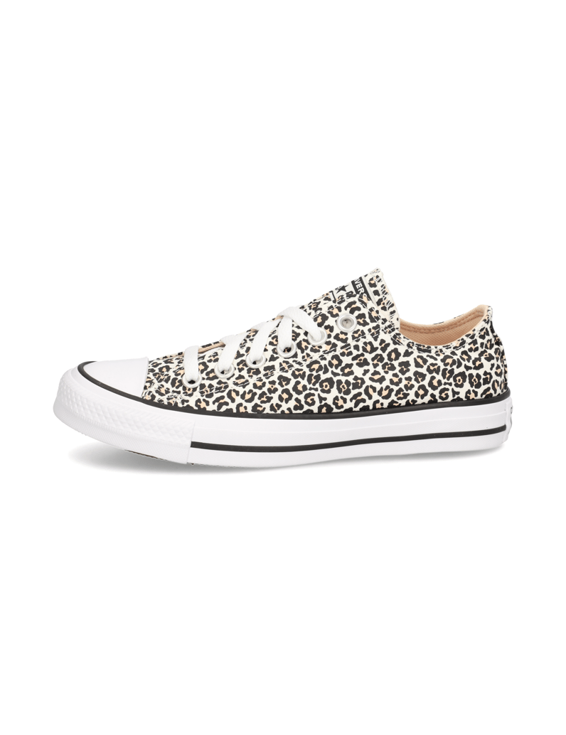 Converse-CHUCK-TAYLOR-ALL-STAR-multicolor