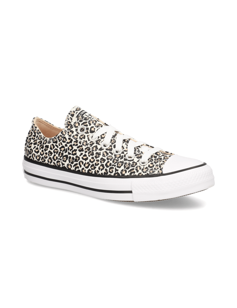 Converse-CHUCK-TAYLOR-ALL-STAR-multicolor