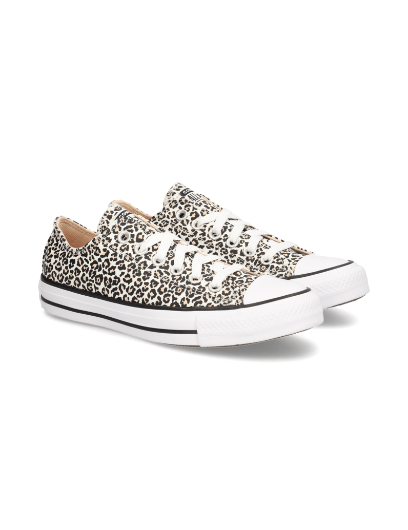 Converse-CHUCK-TAYLOR-ALL-STAR-multicolor