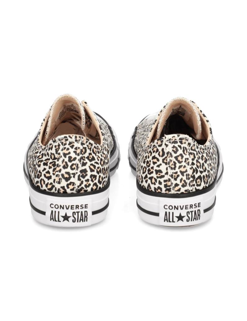 Converse-CHUCK-TAYLOR-ALL-STAR-multicolor