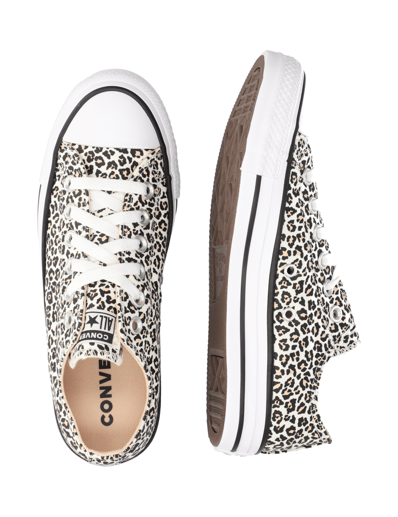 Converse-CHUCK-TAYLOR-ALL-STAR-multicolor