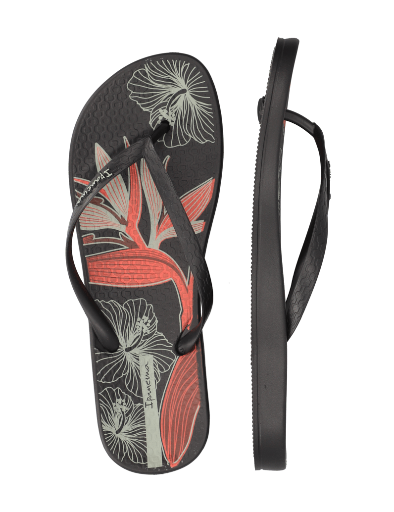 IPANEMA-IPANEMA-ANAT-TEMAS-XV-FEM-schwarz