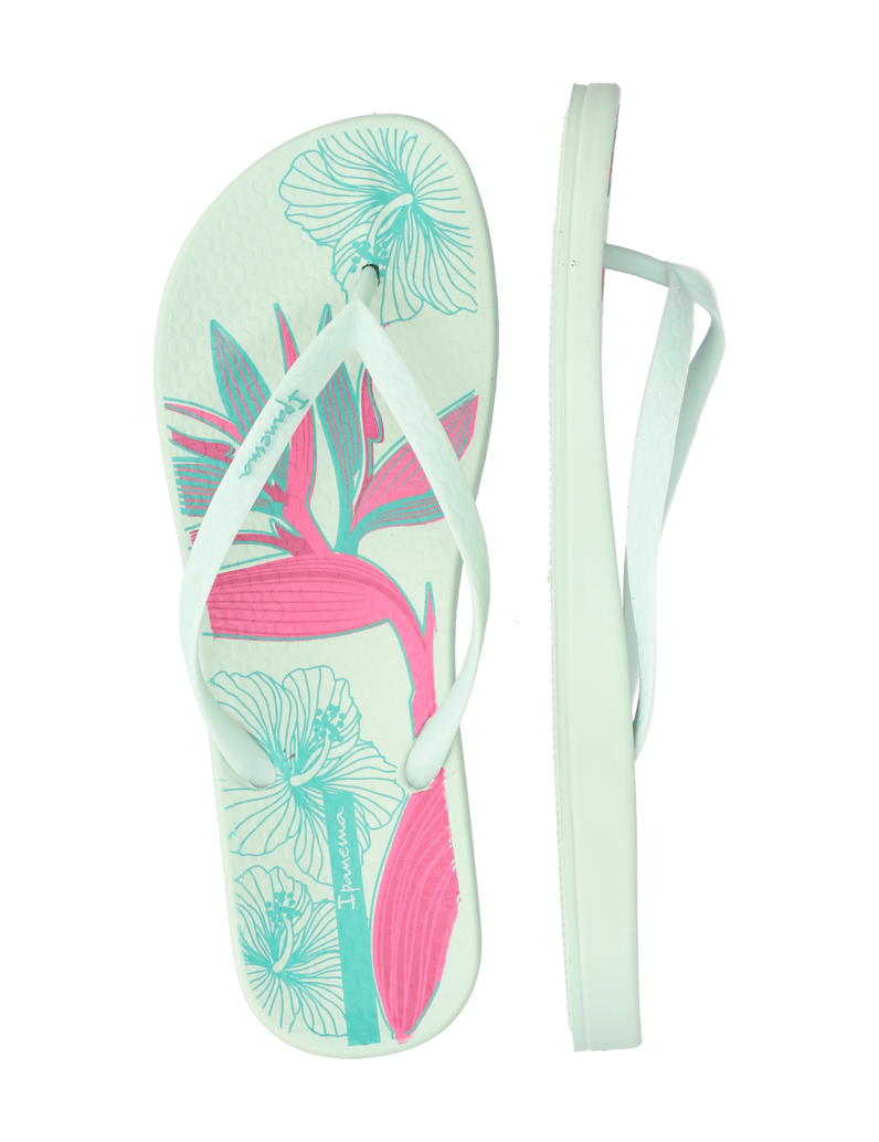 IPANEMA-IPANEMA-ANAT-TEMAS-XV-FEM-schwarz