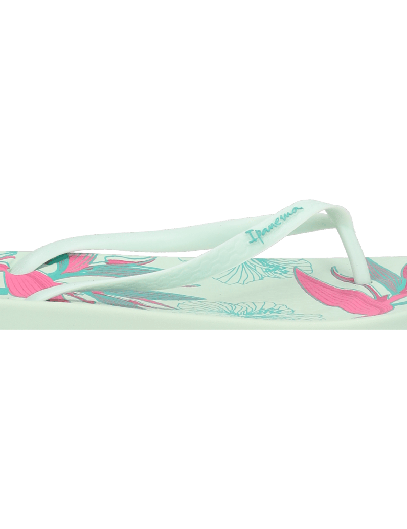 IPANEMA-IPANEMA-ANAT-TEMAS-XV-FEM-schwarz