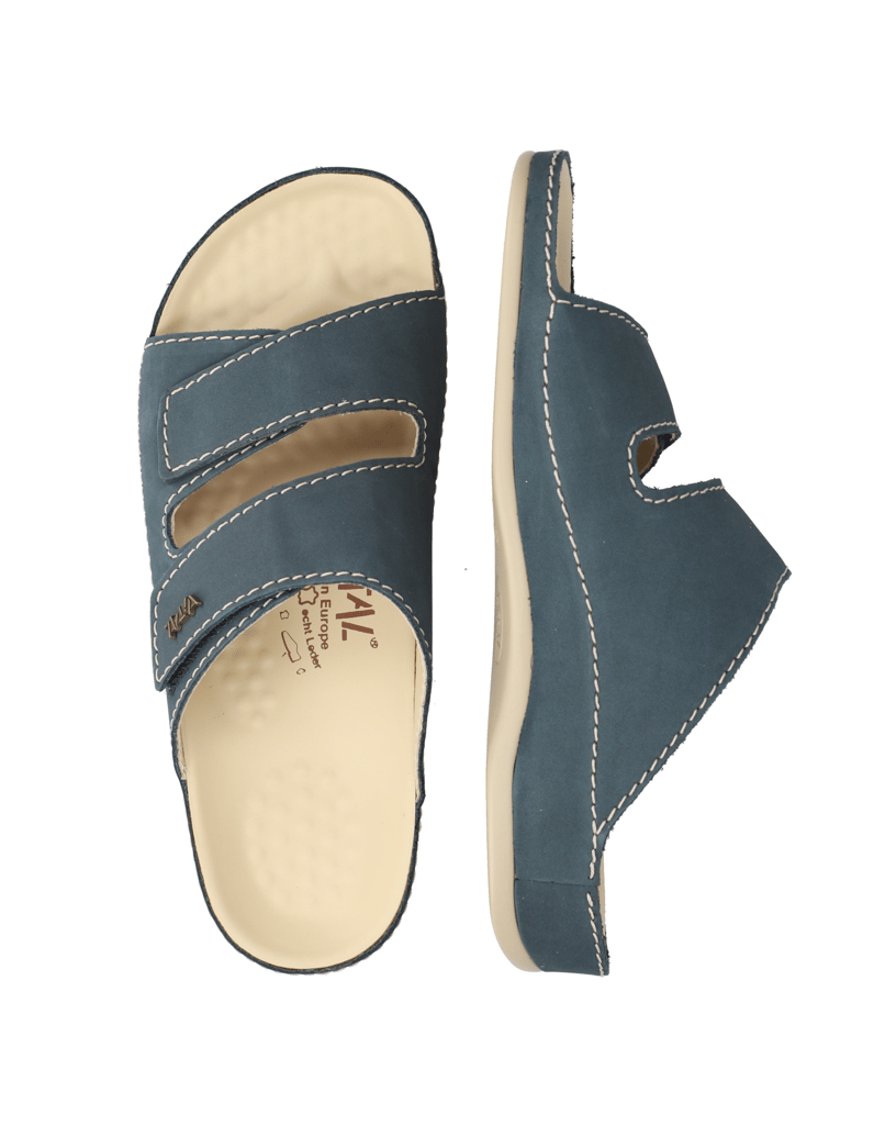 Vital-VITAL-blau