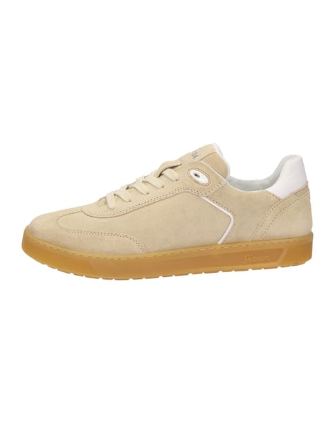 Sneaker Tedroso-708