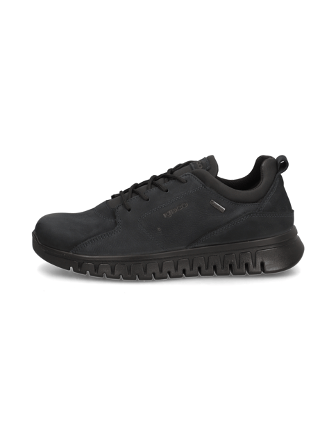 EDO GTX