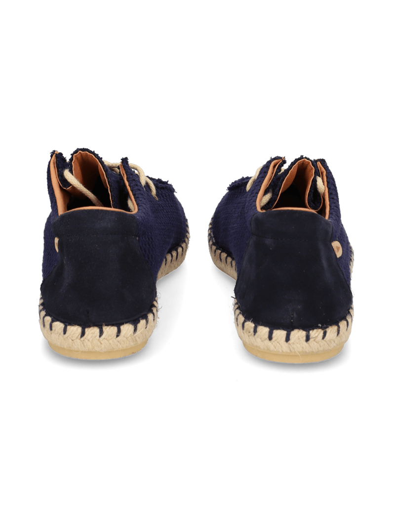 Verbenas-TRUMAN-BUZZBEE-blau