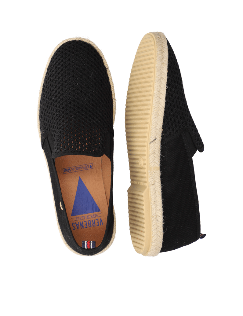 Verbenas-TROY-PACIFIC