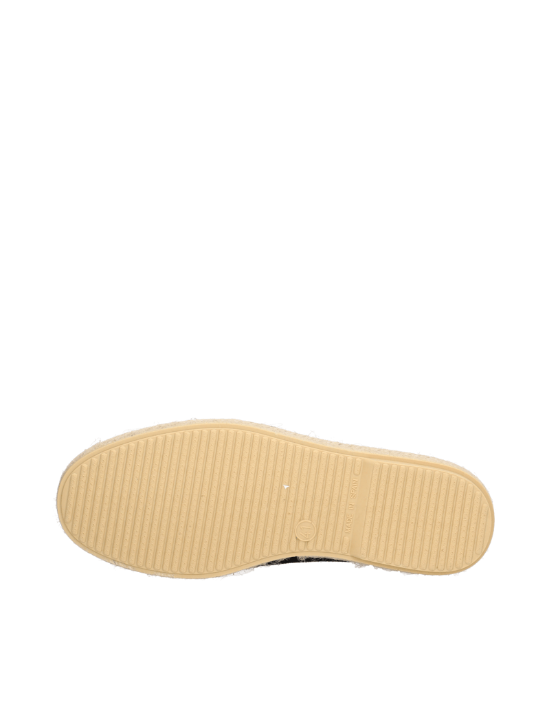 Verbenas-TROY-PACIFIC