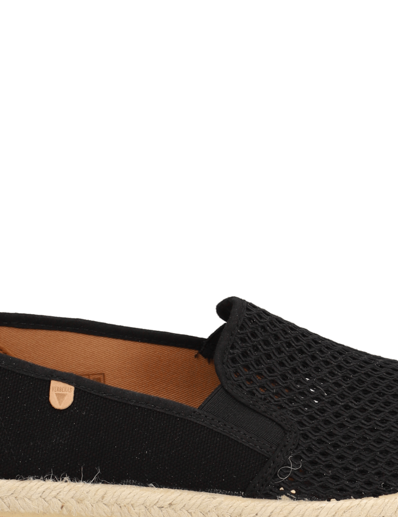 Verbenas-TROY-PACIFIC