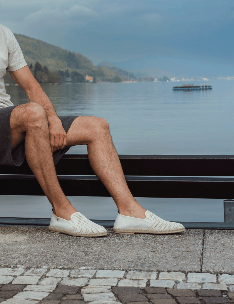 Verbenas-Tom-Pacific-beige
