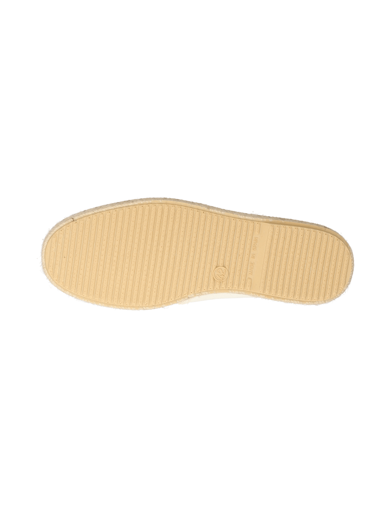 Verbenas-Tom-Pacific-beige