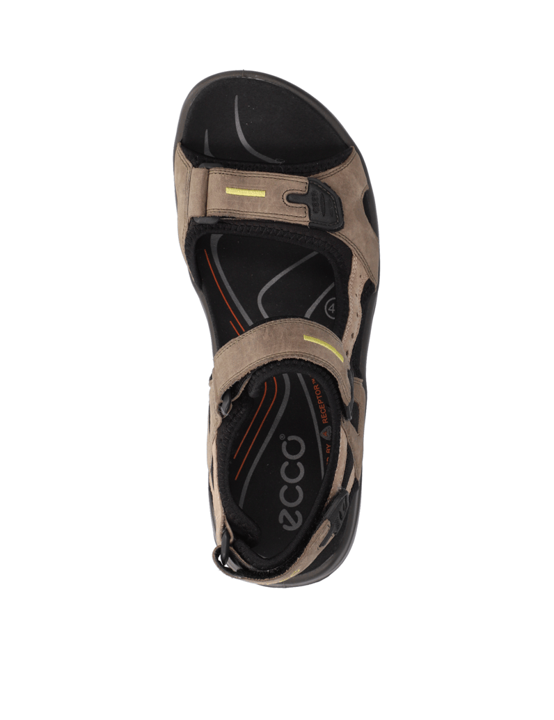 Ecco-OFFROAD-braun