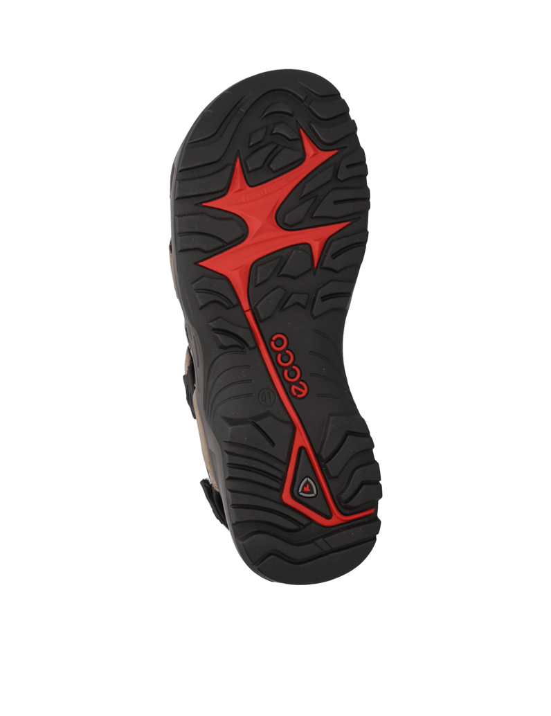 Ecco-OFFROAD-braun