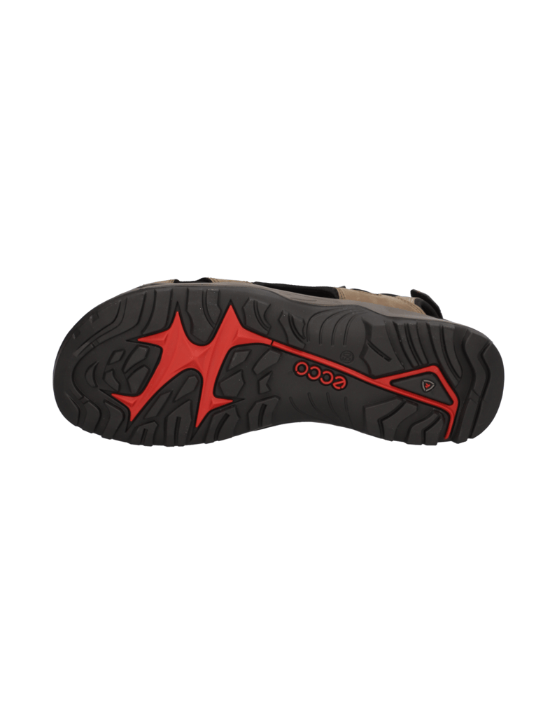 Ecco-OFFROAD-braun