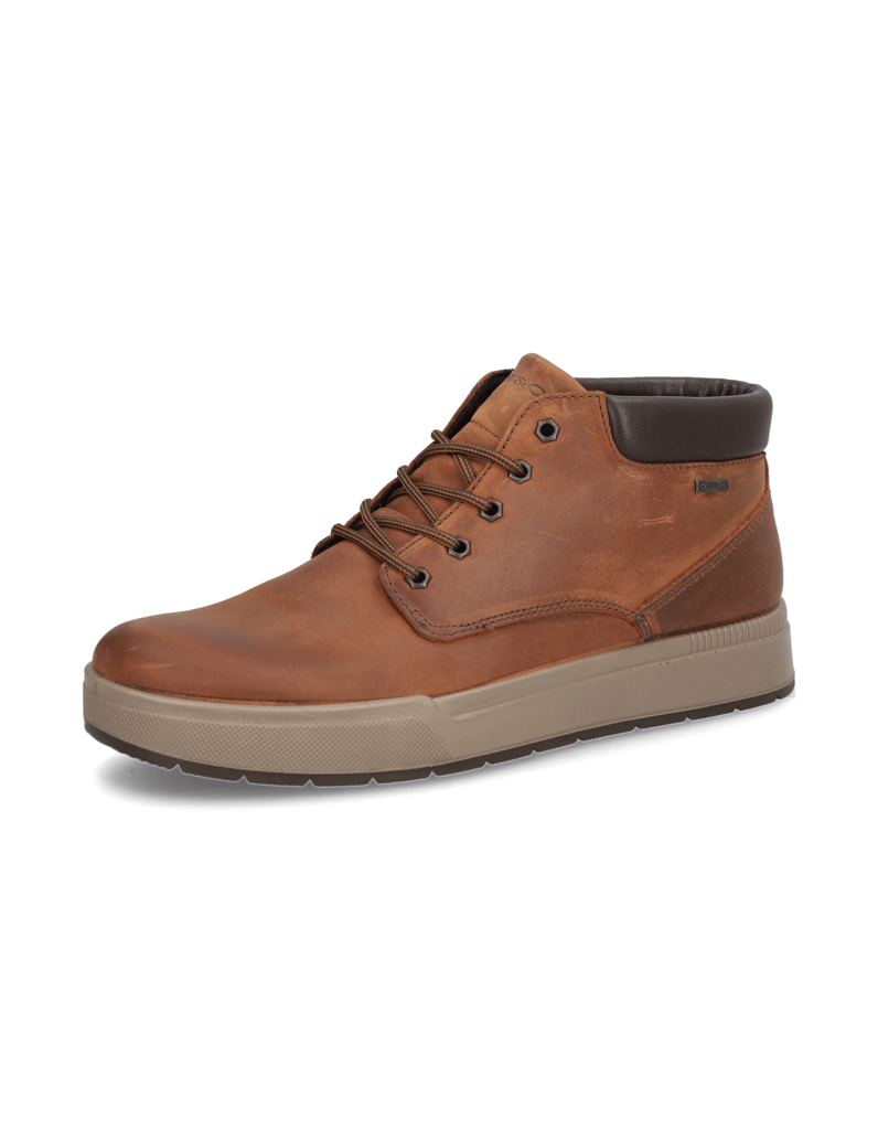 IGI&CO-ENEA-GTX-cognac