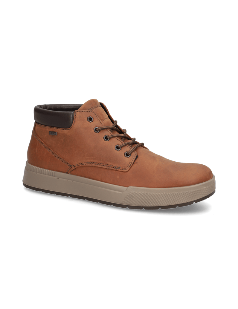 IGI&CO-ENEA-GTX-cognac