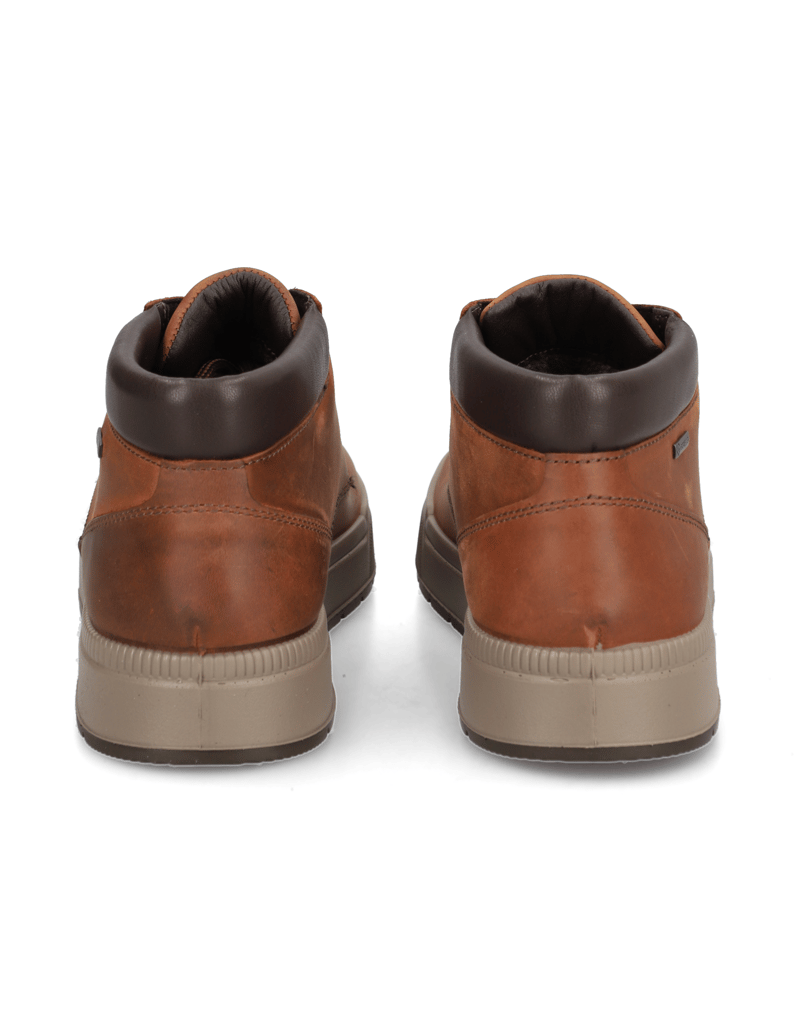 IGI&CO-ENEA-GTX-cognac