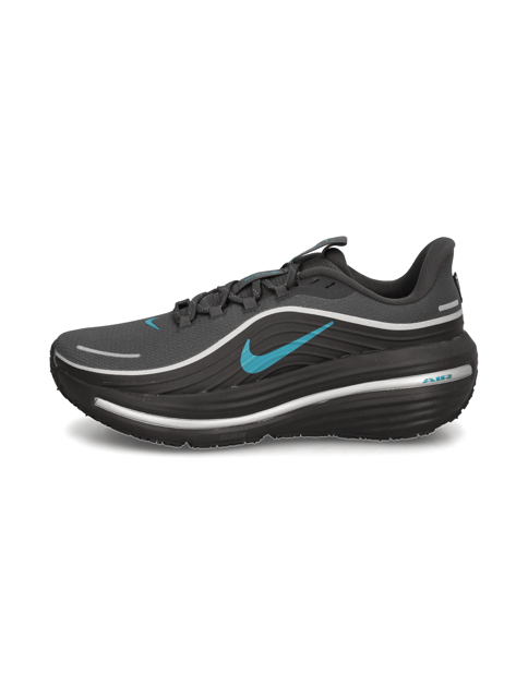 Nike Winflo 12 GORE-TEX