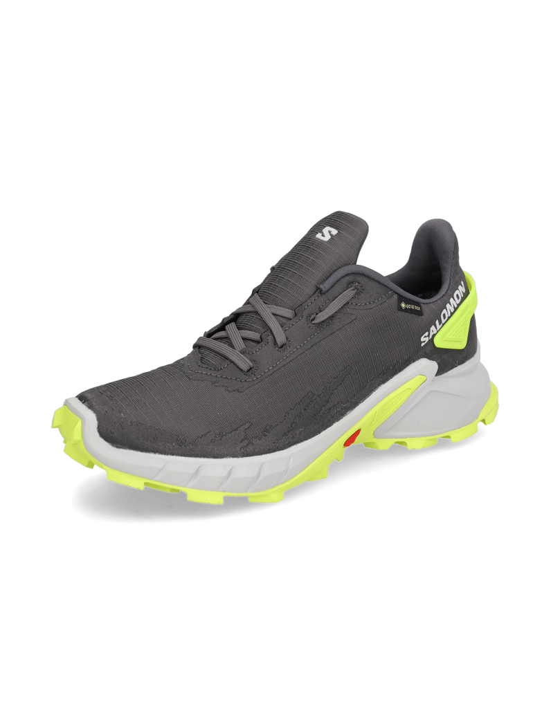 Salomon-ALPHACROSS-4-GTX