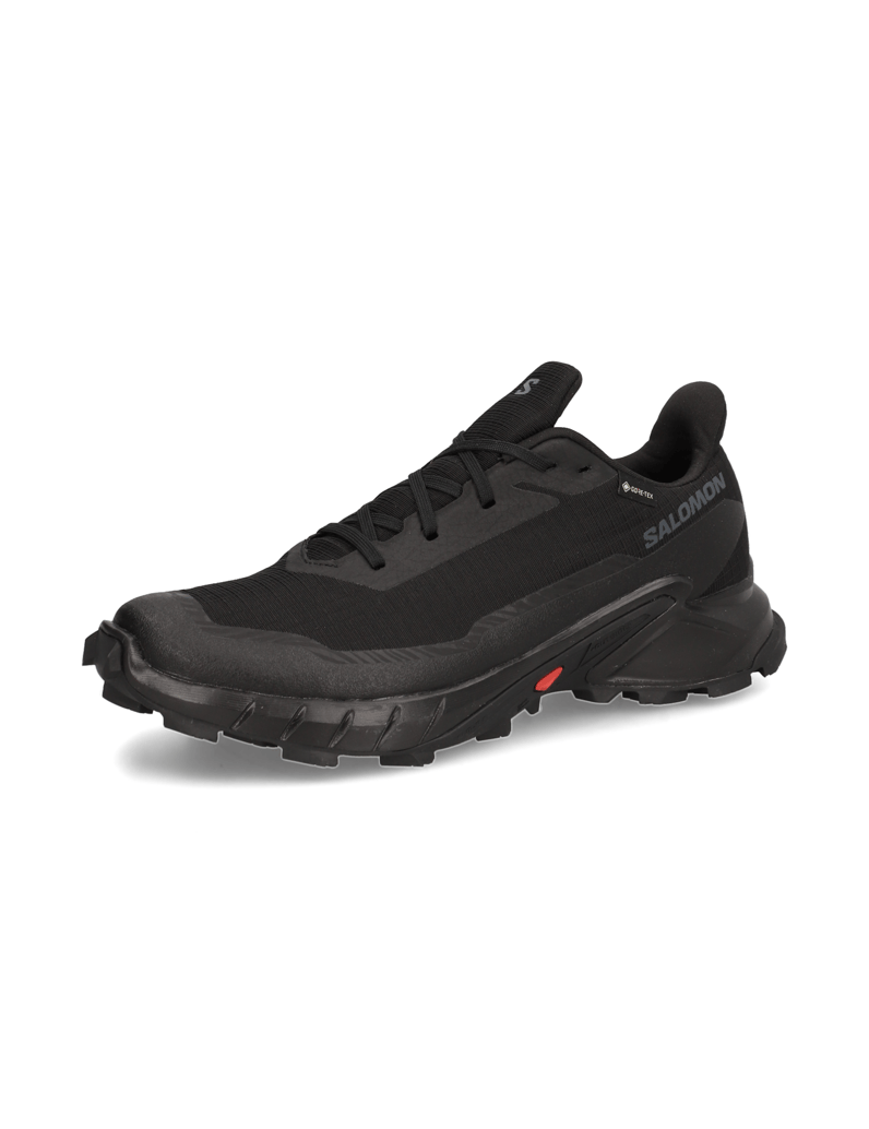 Salomon-ALPHACROSS-5-GTX-schwarz