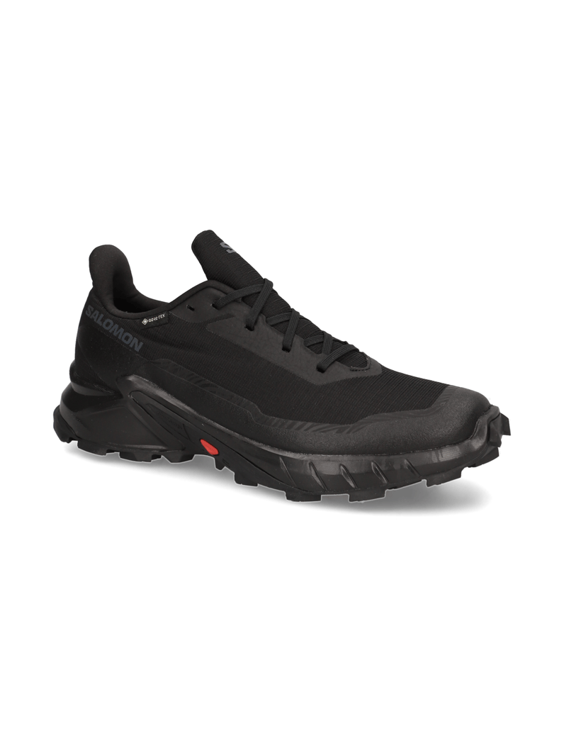 Salomon-ALPHACROSS-5-GTX-schwarz