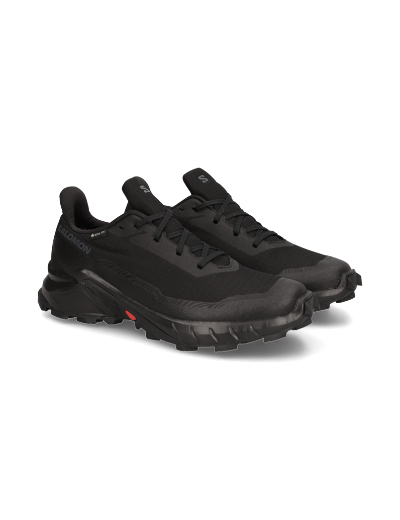 Salomon-ALPHACROSS-5-GTX-schwarz