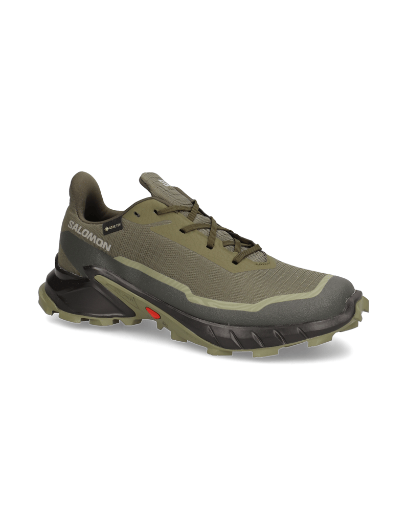 Salomon-ALPHACROSS-5-GTX-schwarz