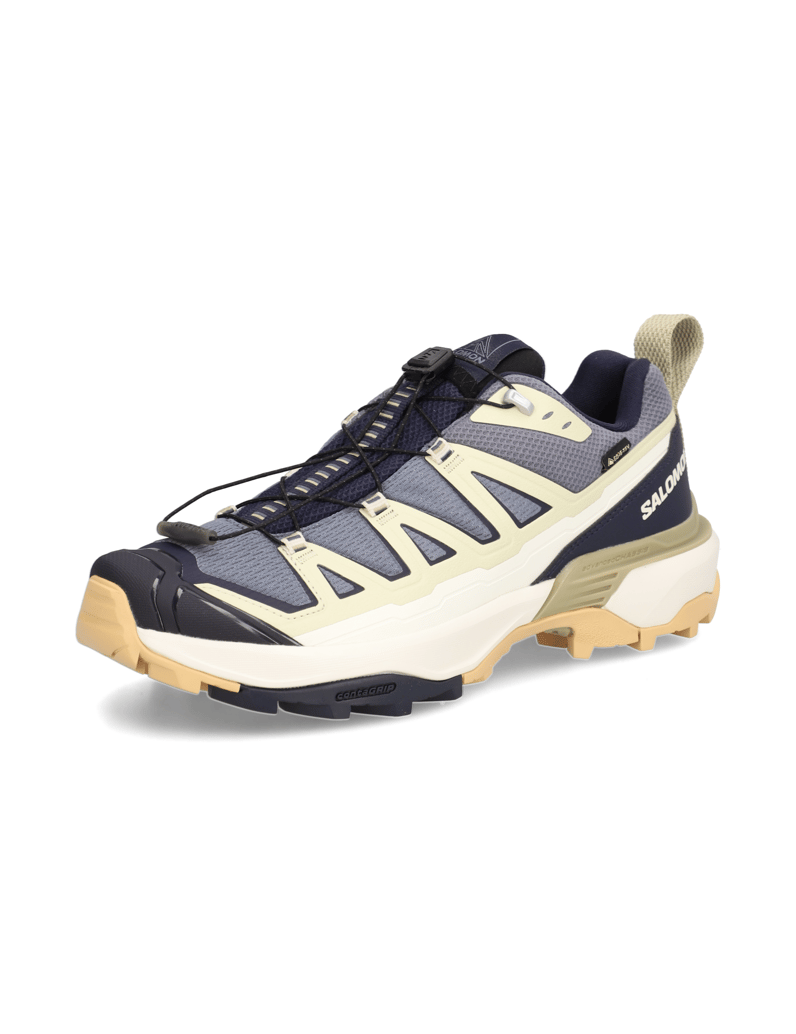 Salomon-X-ULTRA-360-EDGE-GTX-grau