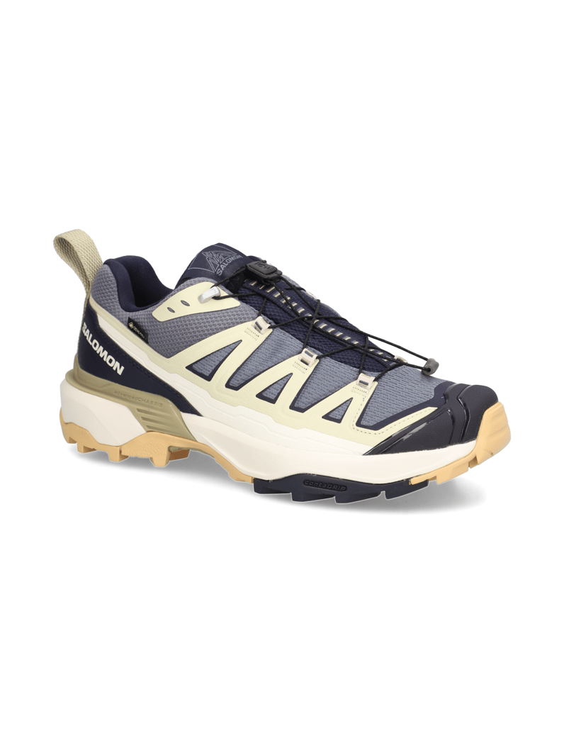 Salomon-X-ULTRA-360-EDGE-GTX-grau