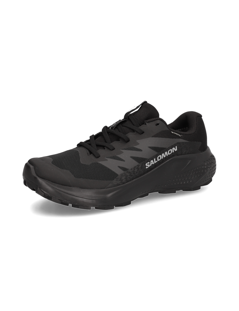 Salomon-ALPHAGLIDE-GTX-schwarz