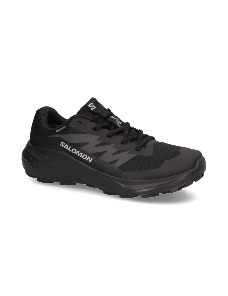 Salomon-ALPHAGLIDE-GTX-schwarz