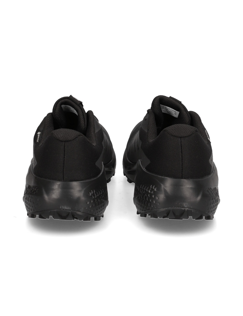 Salomon-ALPHAGLIDE-GTX-schwarz