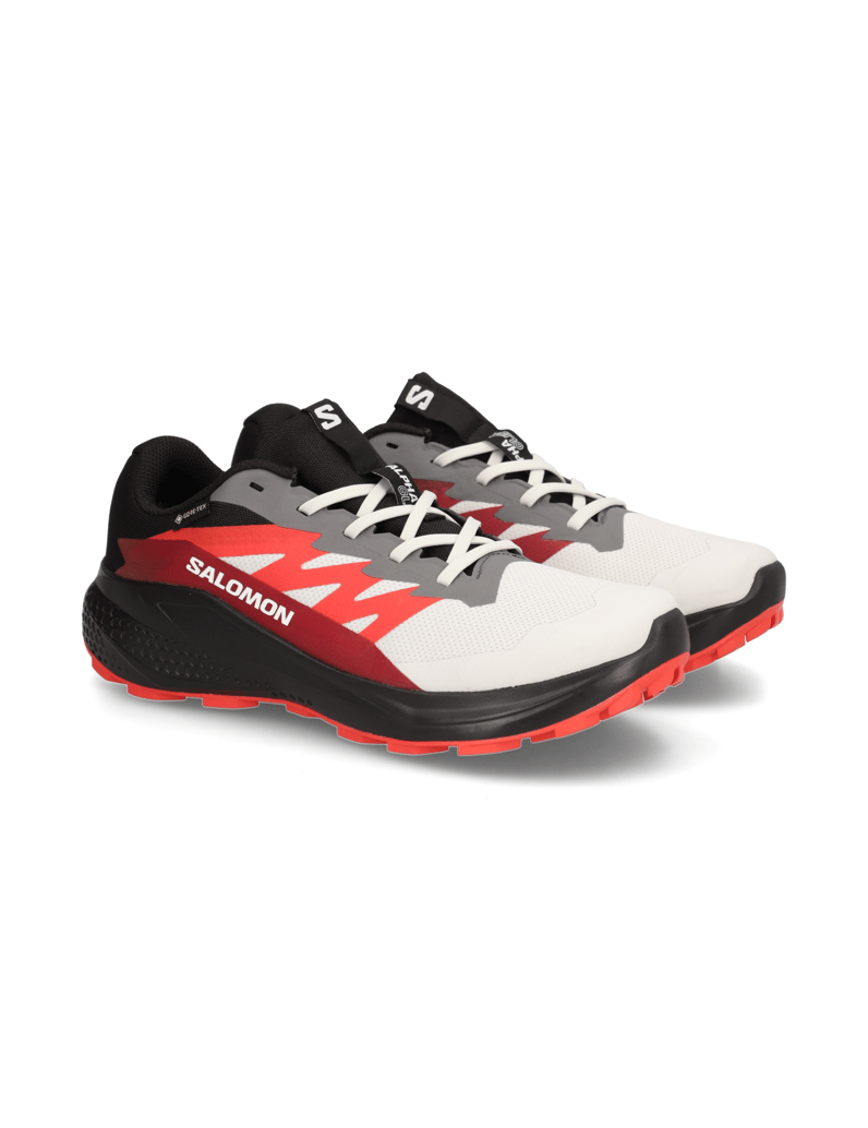 Salomon-ALPHAGLIDE-GTX-schwarz
