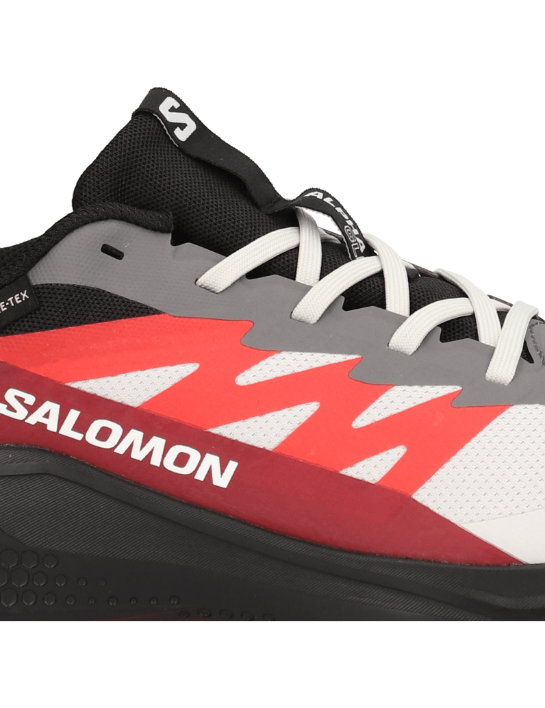 Salomon-ALPHAGLIDE-GTX-schwarz