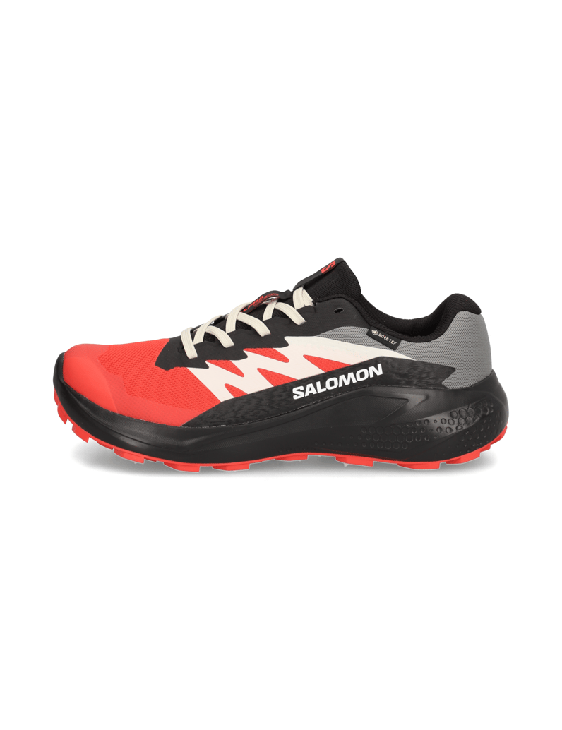 Salomon-ALPHAGLIDE-GTX-schwarz