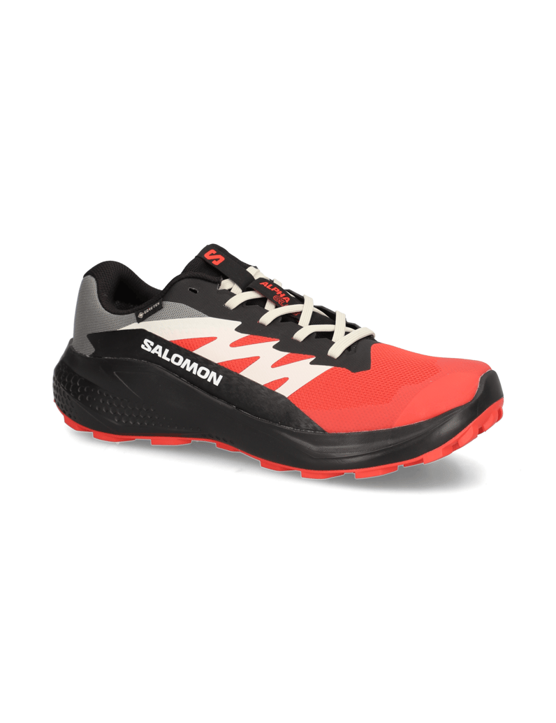 Salomon-ALPHAGLIDE-GTX-schwarz