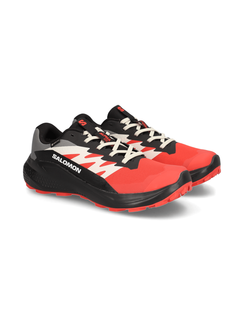 Salomon-ALPHAGLIDE-GTX-schwarz